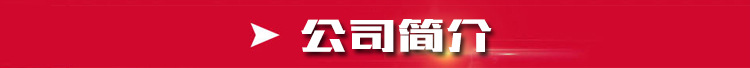 1公司简介